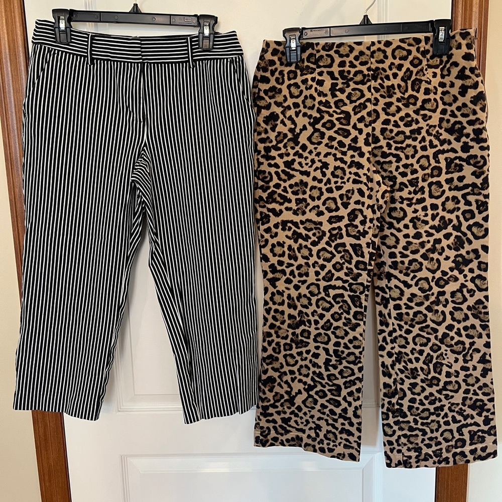 SET! LOFT 8P Like NEW Black and White Striped & Leopard Print Pants